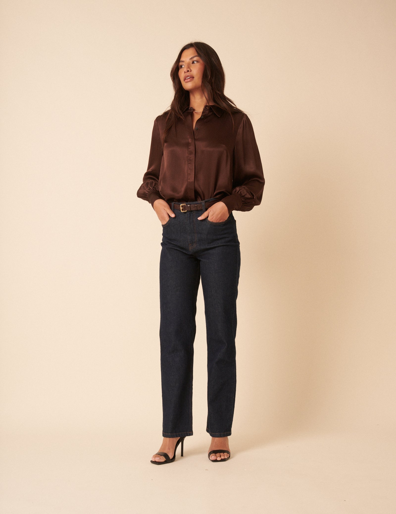 Brown Satin Balloon Sleeve Blouse